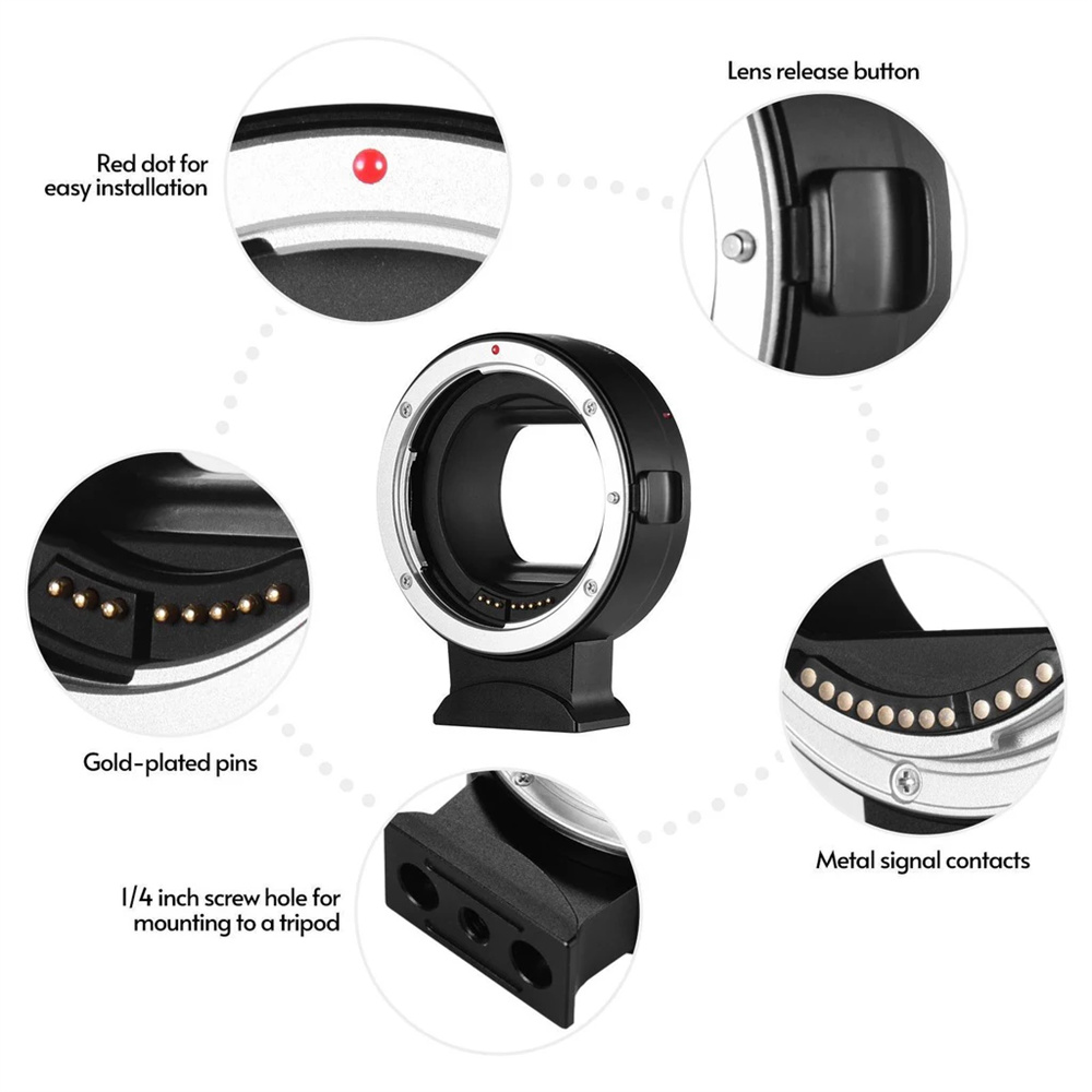 EOS R 마운트 어댑터 EF/EF-S 렌즈를 RF 마 - Canon Camera Eos R50 리뷰 및 가격
